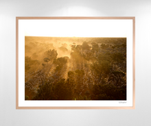 Load image into Gallery viewer, Sunset Muster
