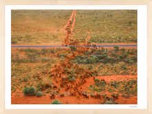 Load image into Gallery viewer, Crossing the Great Northern highway
