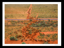 Load image into Gallery viewer, Crossing the Great Northern highway
